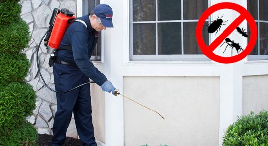 Eskipazar Böcek ve Haşere İlaçlama böcek ilaçlama ve haşere kontrolü — ilaclama-tr.com
